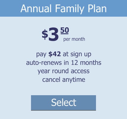 annual subscription plan