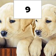 Addition Facts 20