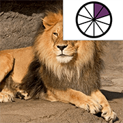 Recognize Fractions
