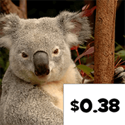 Puzzle Pics Money