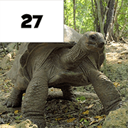 Puzzle Pics Multiplication