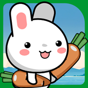 Bunny Adventure