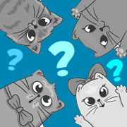 100 Cats